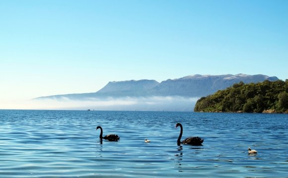 жалуют Новую Зеландию