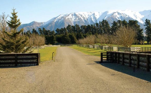 1 Tui Estate, Rakaia