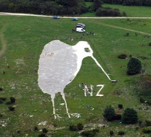Bulford kiwi Птица киви Тур в Новую Зеландию
