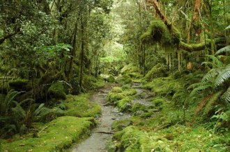 Фото красивого водопада в Новой Зеландии