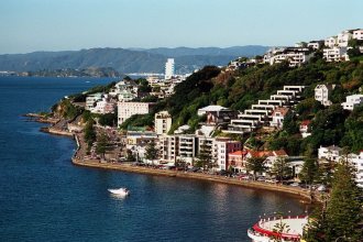 Фото Веллингтона со стороны моря Фото Веллингтона со стороны моря