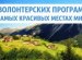 Волонтеры в Новую Зеландию