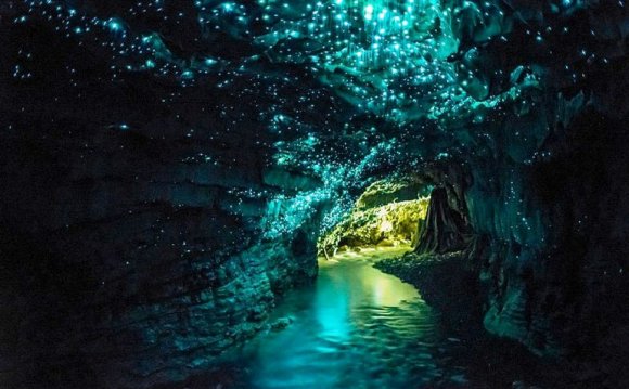 Светлячковые Пещеры Вайтомо в Новой Зеландии