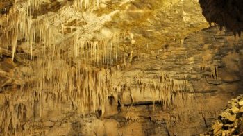 Светящиеся пещеры Вайтомо (Новая Зеландия) новая зеландия, пещера, природа, светлячки
