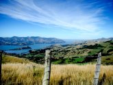 Как Называются Крупные Острова Новой Зеландии