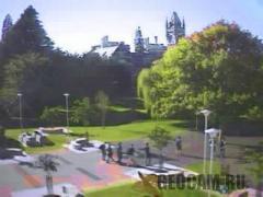 Веб-камеры университета «Отаго»